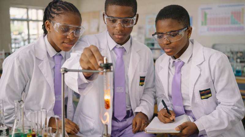 Senior secondary science students in the lab at IVIS